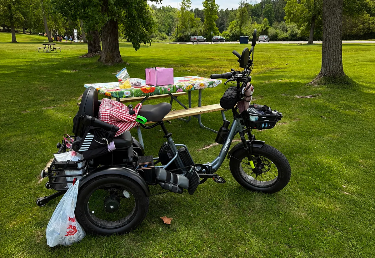 Holiday Visits Made Easy: Explore Affordable, Reliable Electric Bikes and Trikes for Seniors