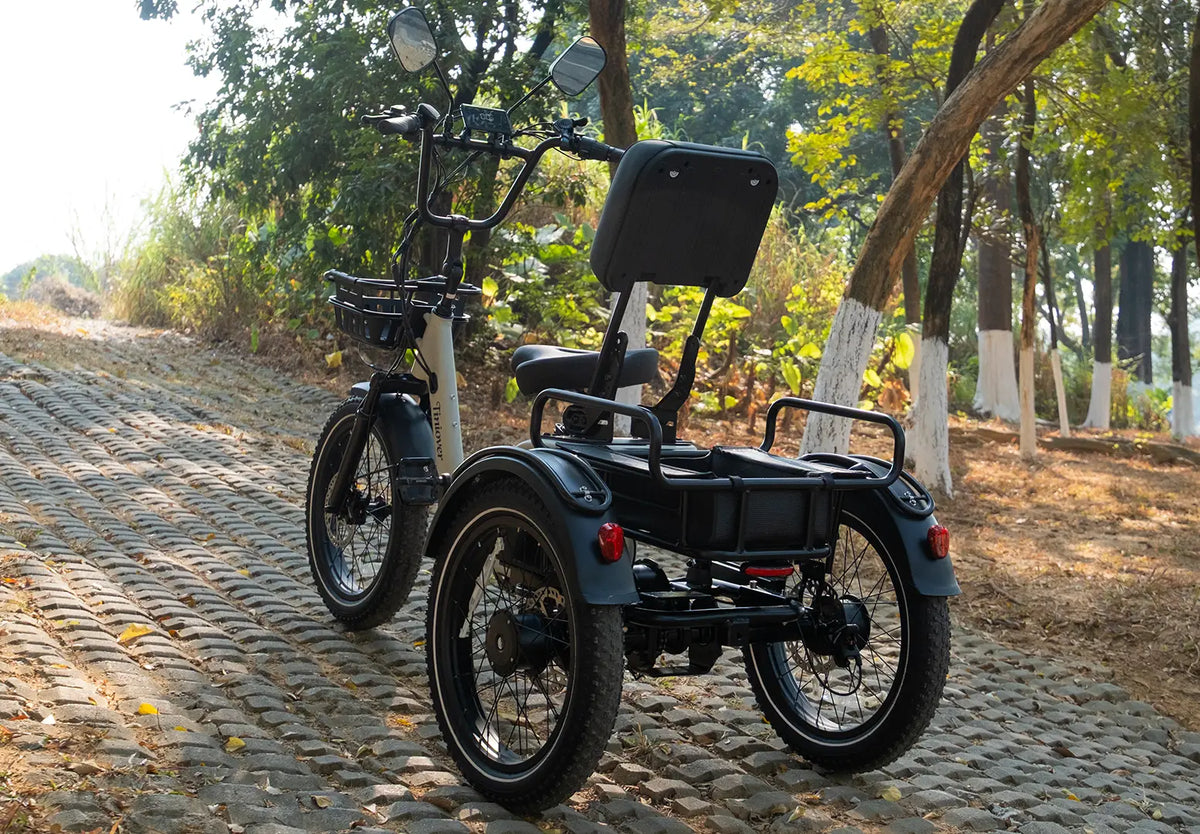 River Full Suspension Electric Tricycle
