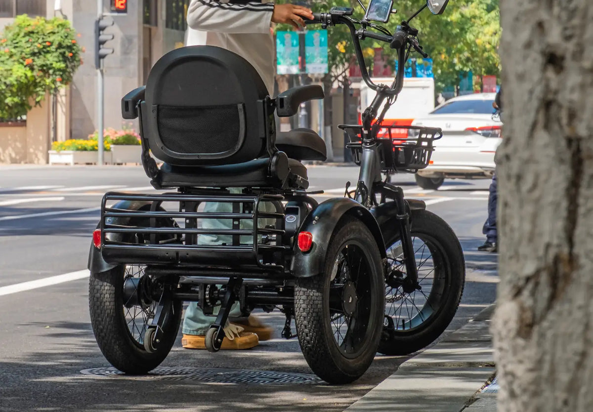 Creek Pro Electric Passenger Trike for 2 Adults/Seniors