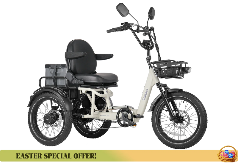 River Electric Tricycle