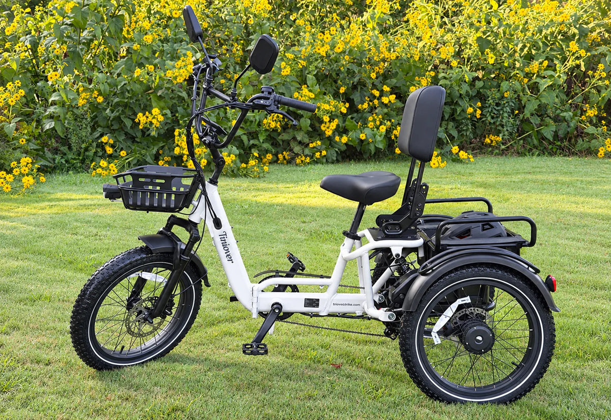River Full Suspension Electric Tricycle